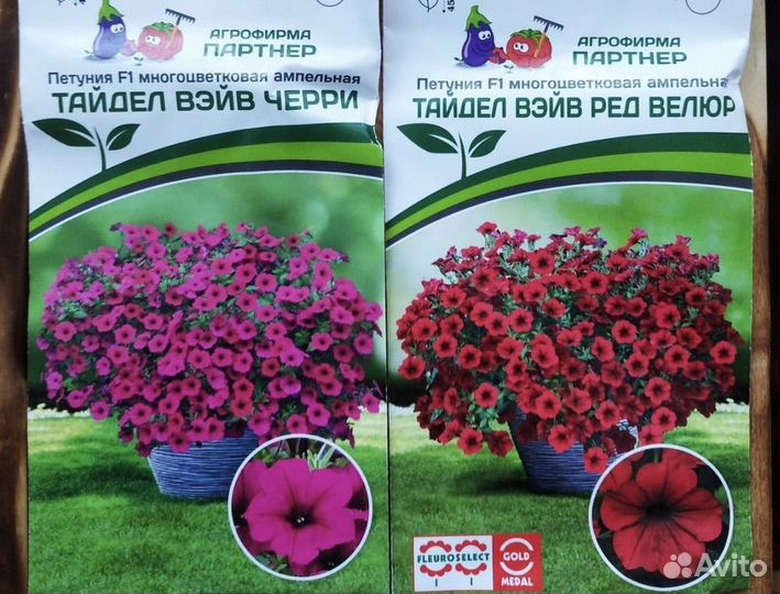 Петуния тайдал