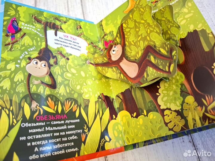 Объемные книжки панорамки Pop up Malamlama пакетом