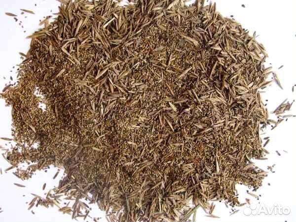 Семена газонной травы