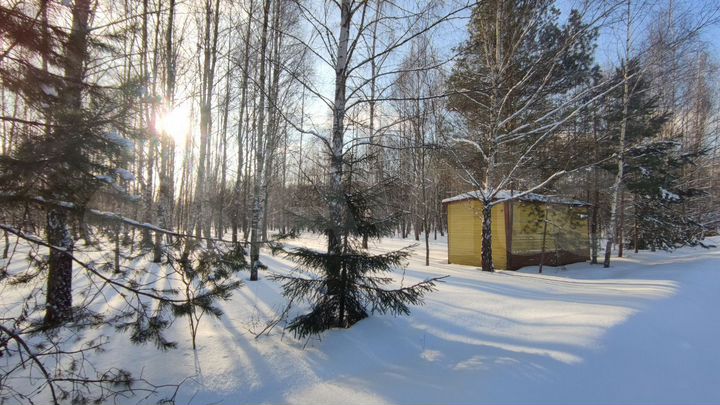 Участок 99 сот. (СНТ, ДНП)