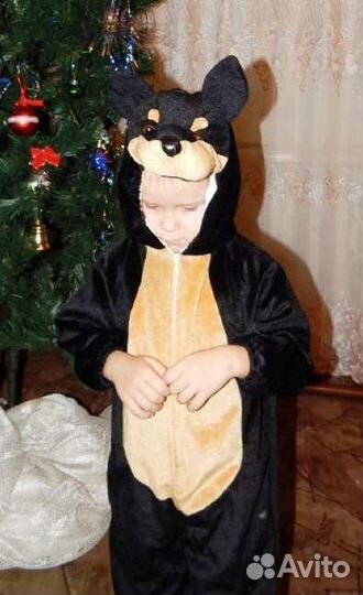 Костюмы породистых собачек