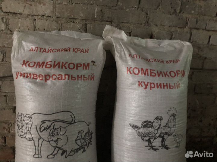 Комбикорм для кур и универсальный