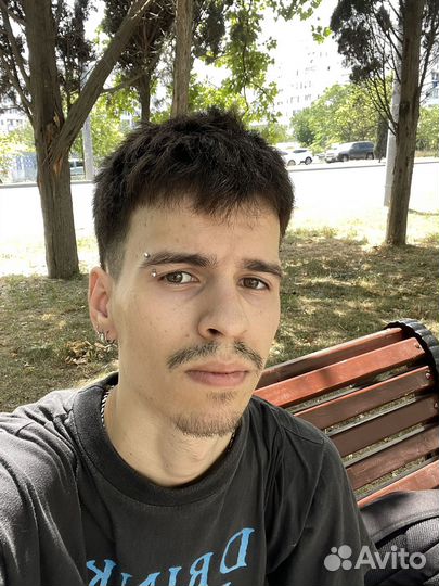 Программист разработчик