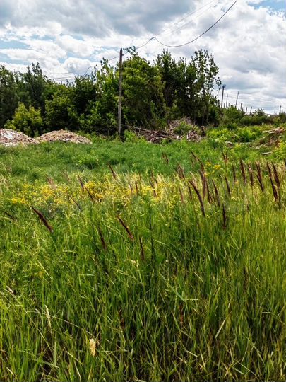 Участок 24 сот. (СНТ, ДНП)