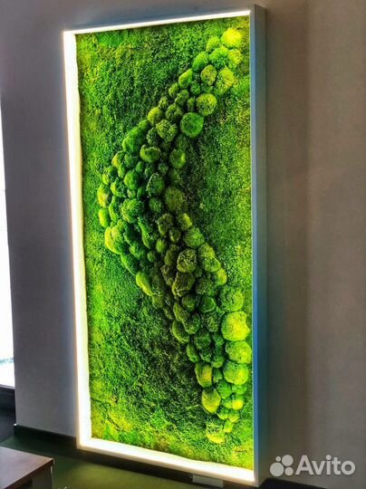 Ягель. Стабилизированный мох.Озеленение.Фитостена