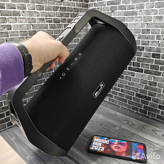 Портативная колонка Eltronic 20-99 Black