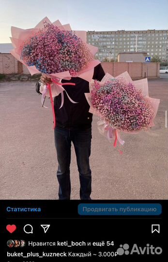 Букет/коробка из гипсафилы