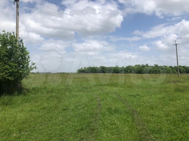 Участок 1,78 га (ИЖС)