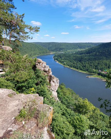 Поездка в Святые кустики