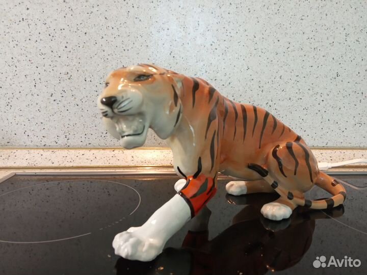 Тигр цирковой. Лфз