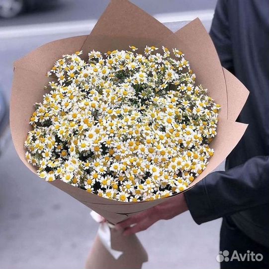Цветы ромашки. Букеты ромашек. Цветы доставка