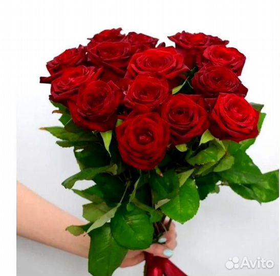 Букет из 115 красной роз