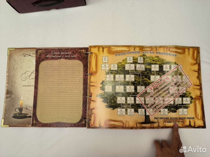 Родословная книга, новая