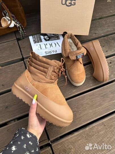 Угги ugg