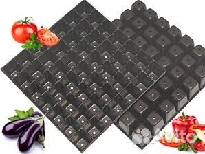 Кассеты для рассады,Ель,Лес,Хвоя