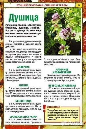 Лекарственные растения (а также специи)