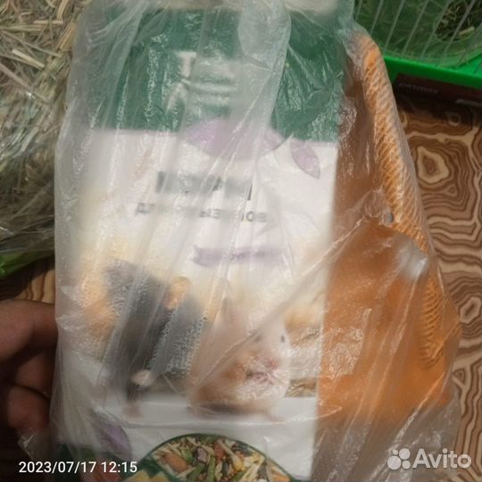 Клетка для хомяка + все для содержания