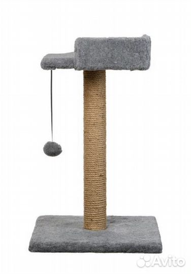 Когтеточка