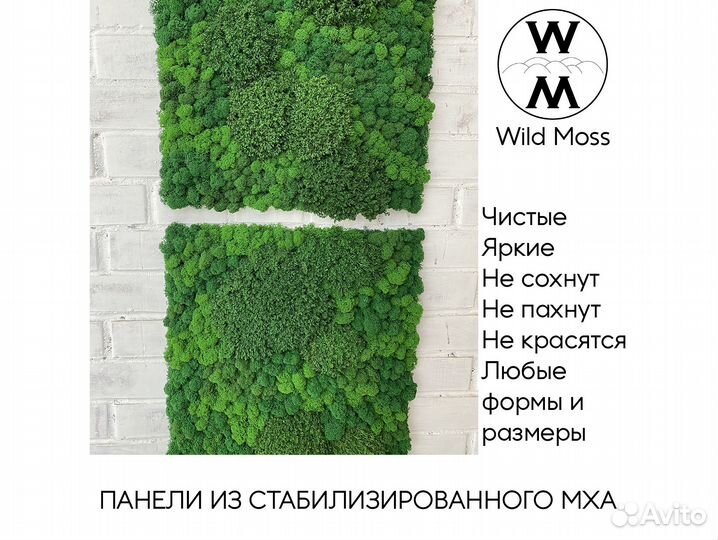 Панели из стабилизированного мха