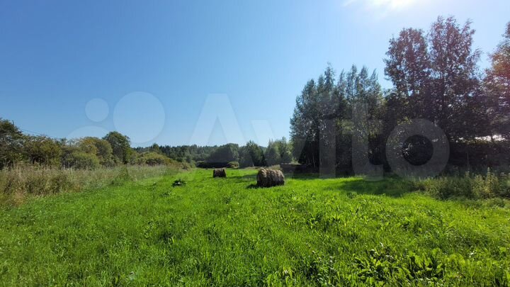 Участок 5,3 га (СНТ, ДНП)