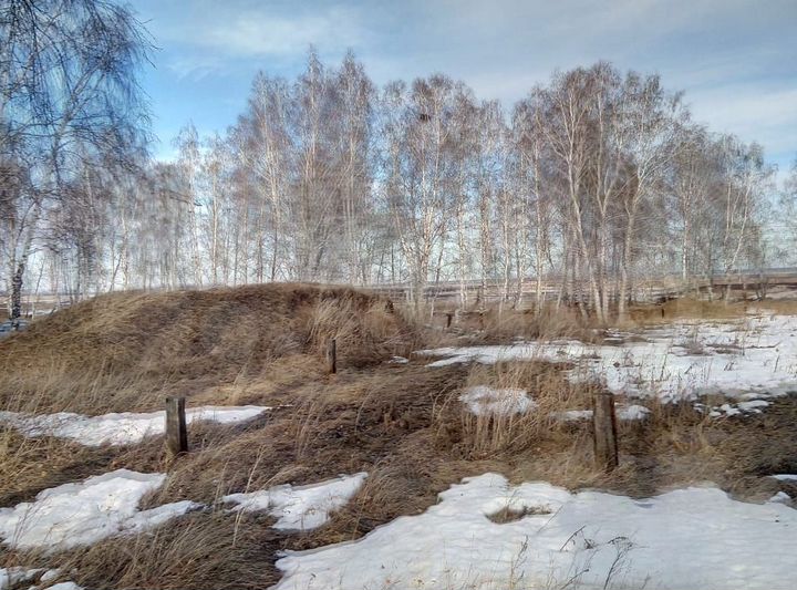 Участок 10 сот. (ИЖС)