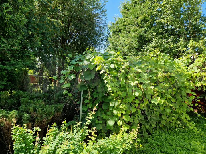 Дом 300 м² на участке 12 сот.