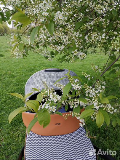 Коляска Anex M-type 2 в 1