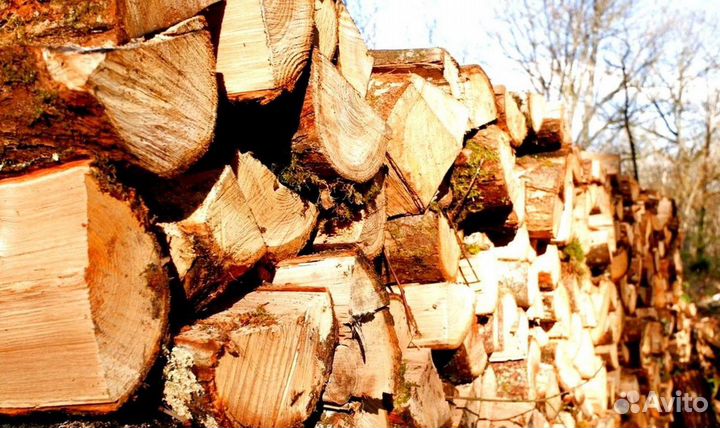 Дрова Ольховые