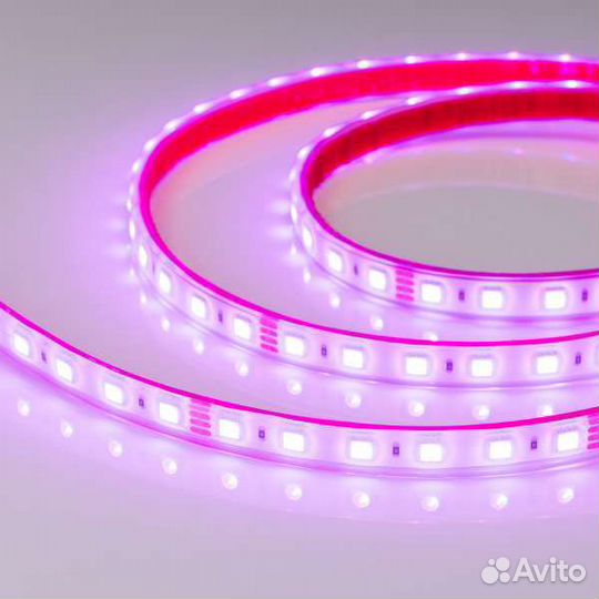 Светодиодная лента уличная Led 24v RGB IP67