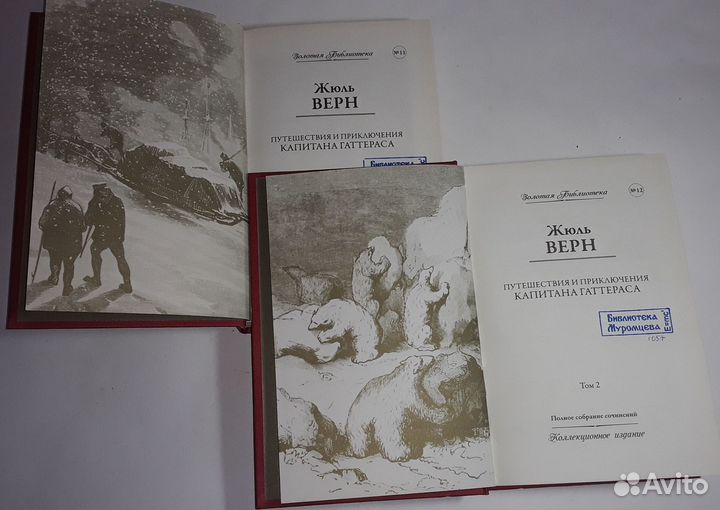 Путешествия и приключения капитана Гаттераса. Жюль