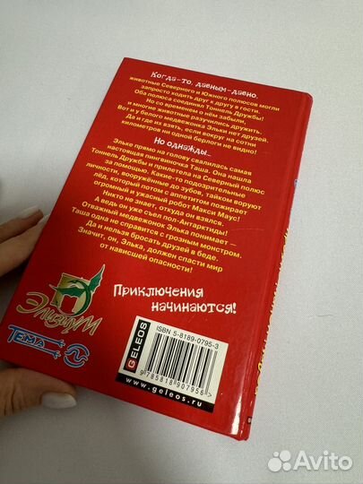 Нестеров, Саков Элька против Макси Мауса