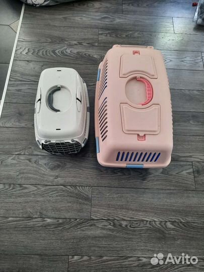 Переноска для кошек аренда