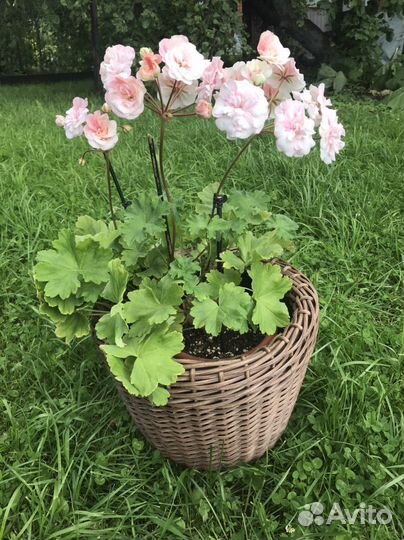 Кашпо для цветов из искуственного ротанга (горшок)