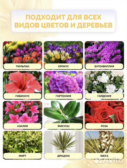 Японское удобрение fujima (гортензия, фикус, роза)