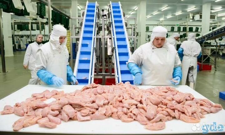 Вакансия на птицефабрике. Гибкий график по вахтам