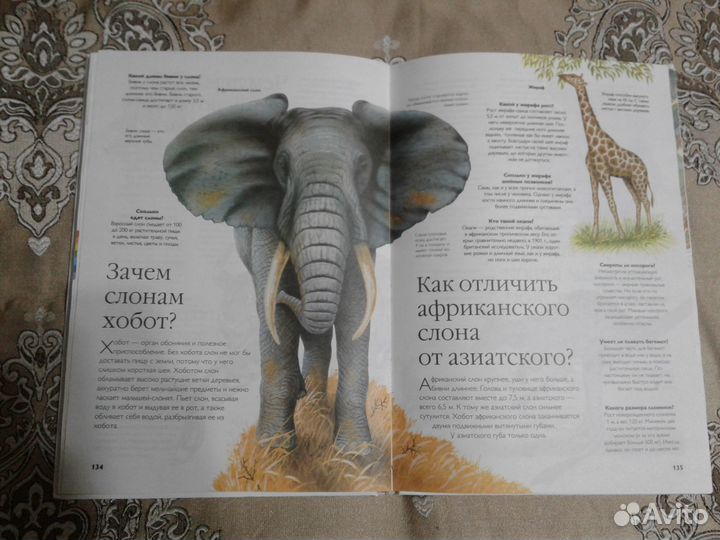 Энциклопедия 