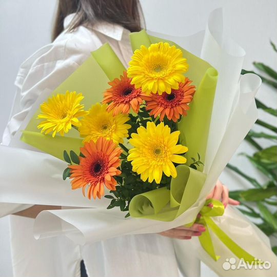 Герберы / Доставка цветов