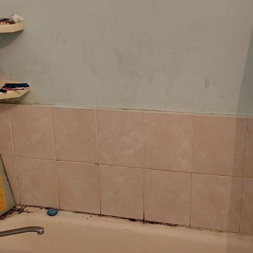 Квартира 1-комн. 28.8 м² в Асино — фото 15 из 15