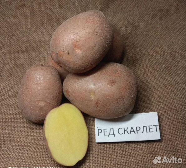 Картофель с доставкой на дом,офис