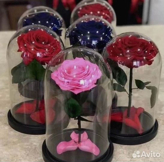Розы в колбе разные