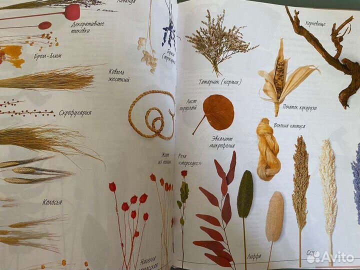 Сухие цветы 100 идей