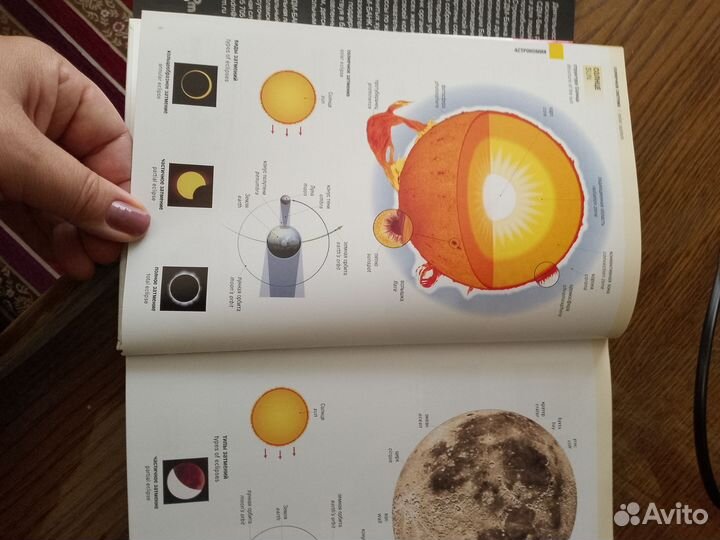 Англо русский словарь