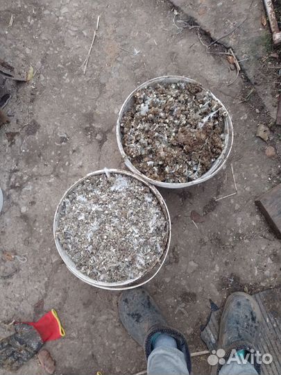 Утки, Мускусные утки,перепела