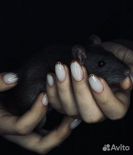 Комбинированный маникюр