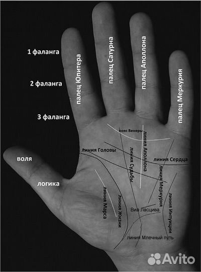 Хиромантия Обучение