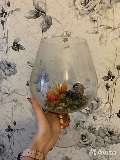 Аквариум бокал для петушка