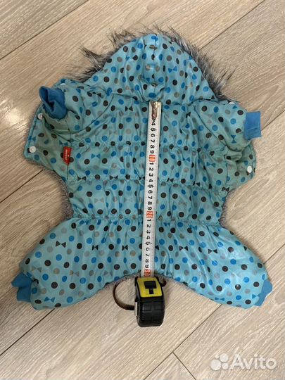 Одежда для собак