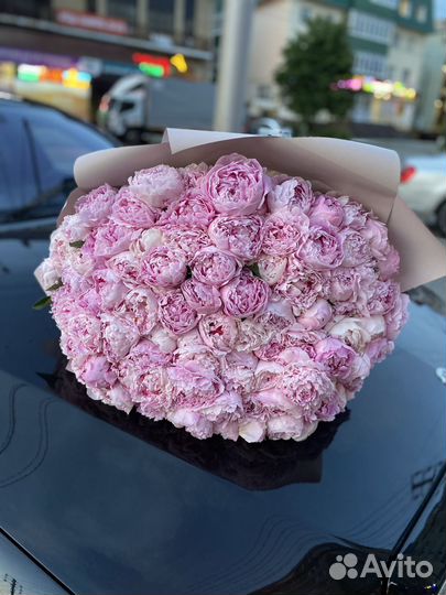 Пионы премиум