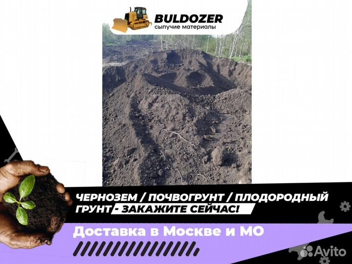 Чернозем
