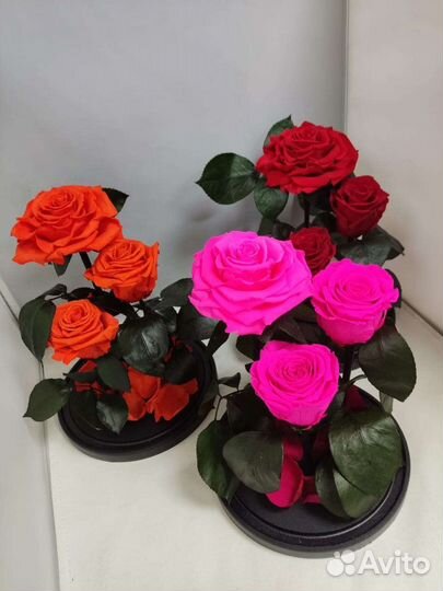 Роза в колбе оптом и в розницу